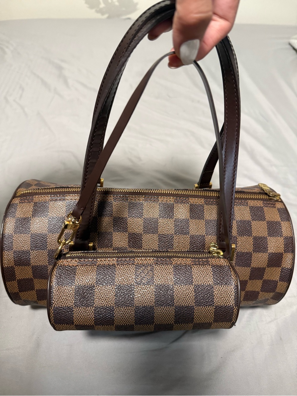 LV momma and baby papillon
